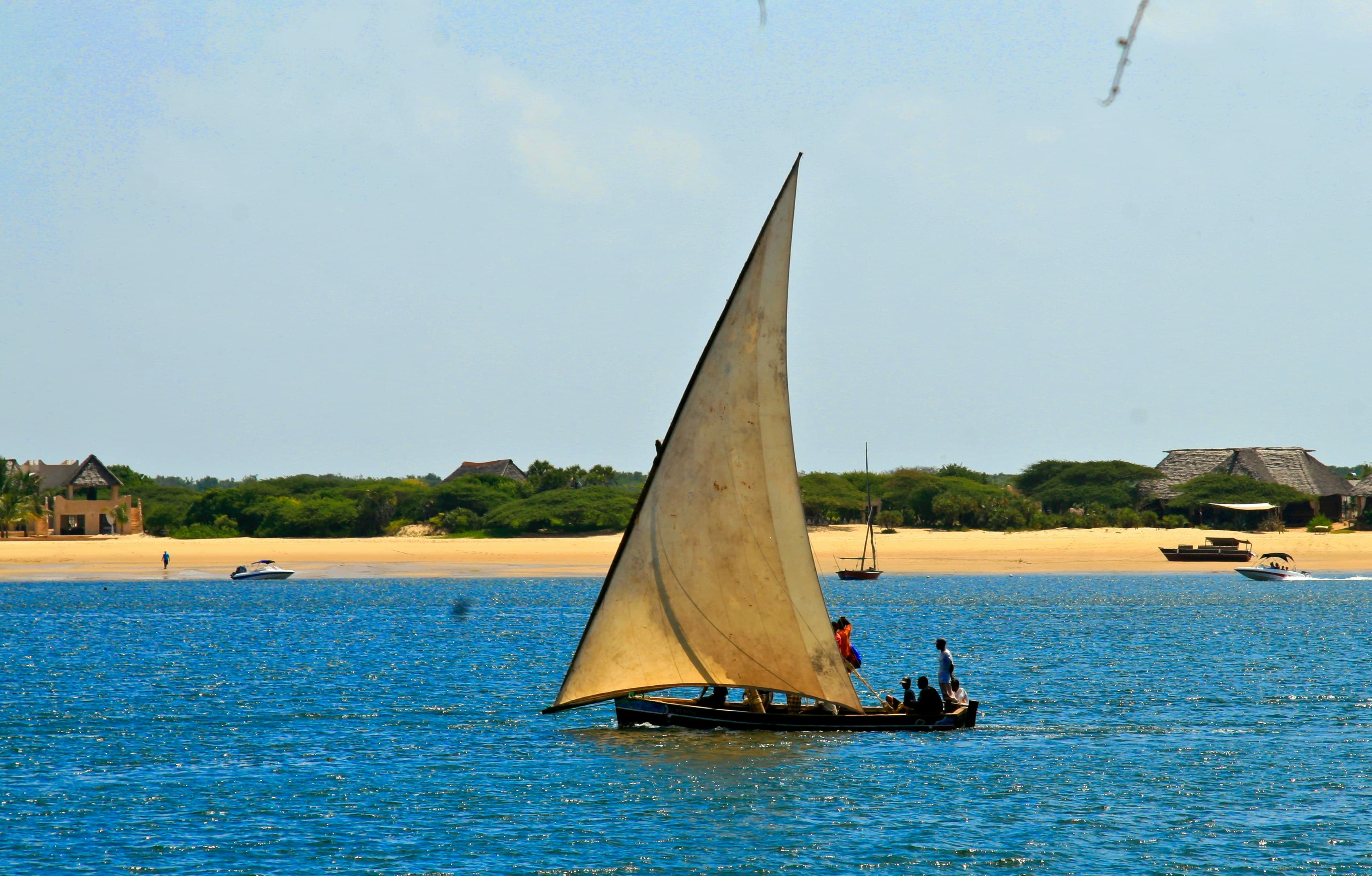 Coastal Dhow Safari