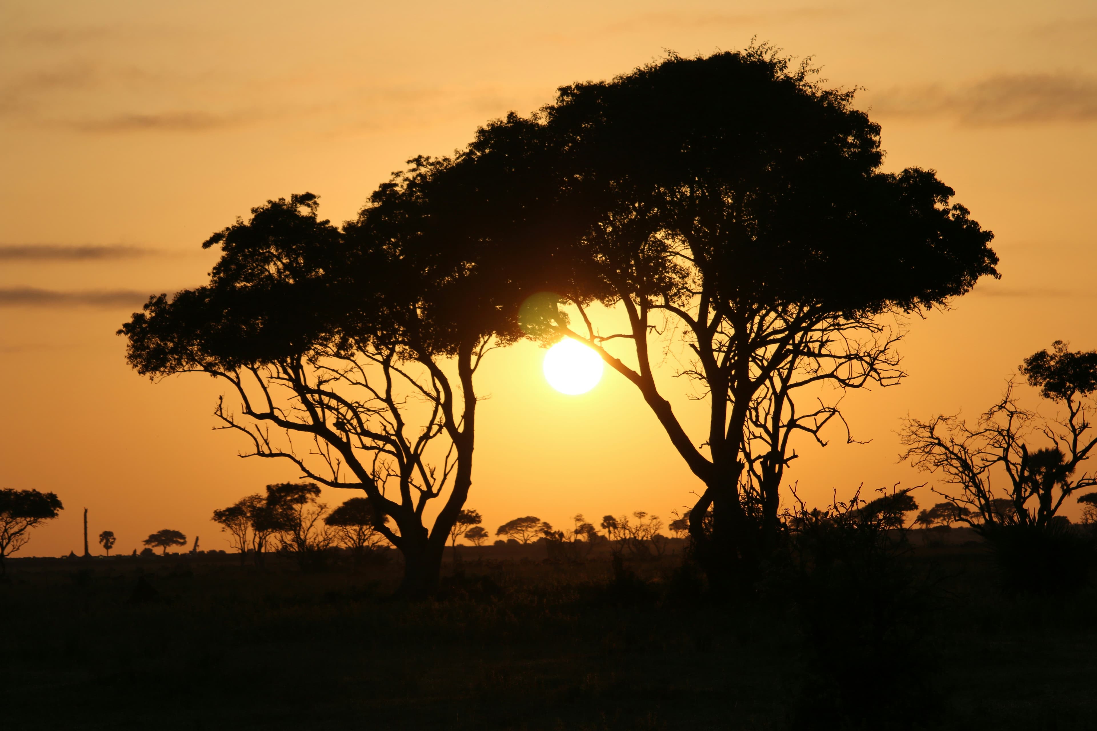 Masai Mara Sunset