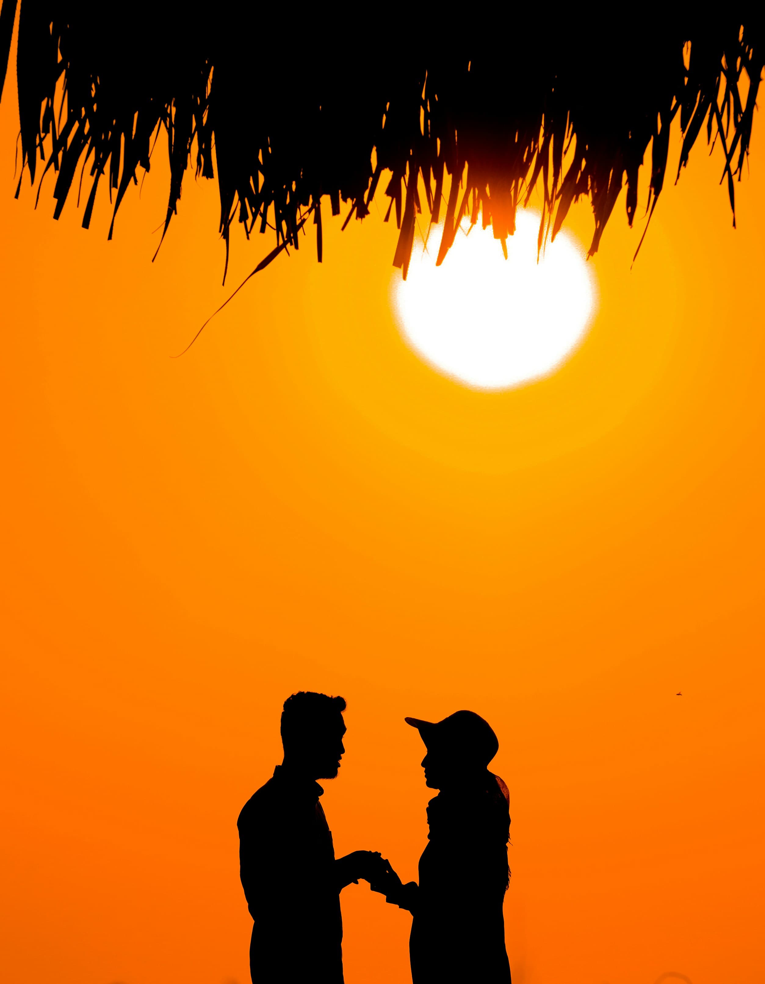 Romance in the Wild