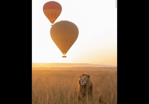 Hot Air Balloon Safari: Africa from Above
