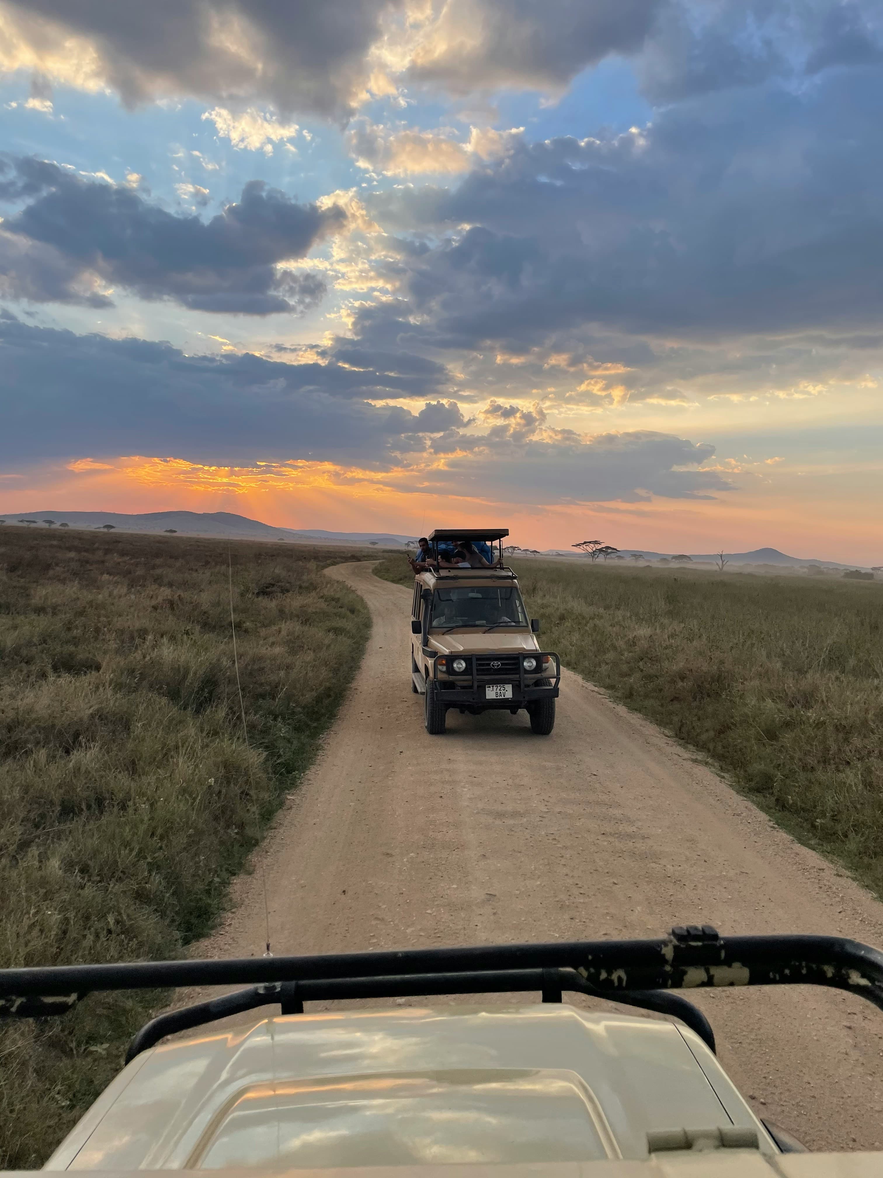 Professional Photography Safari