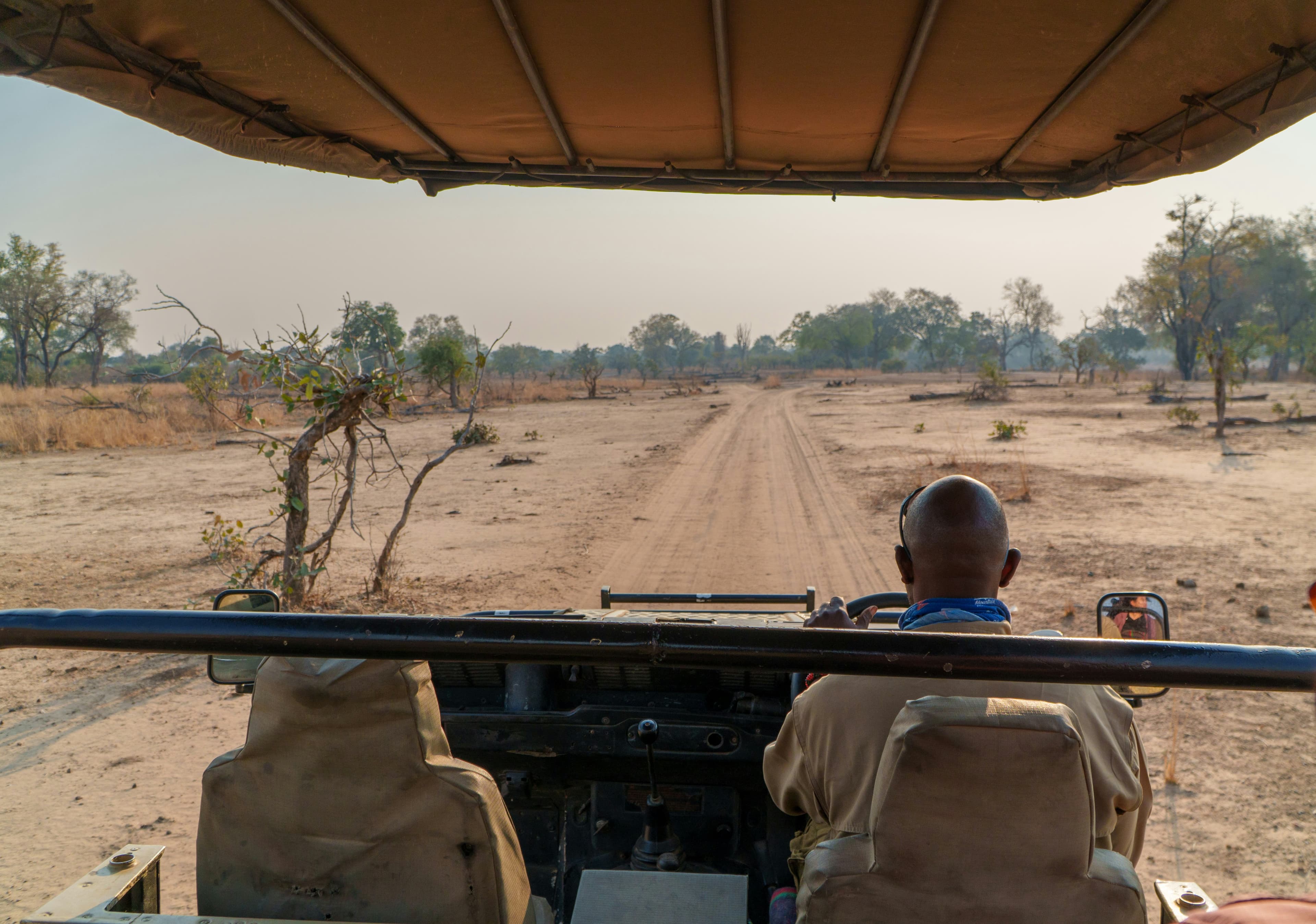 Local Safari Guide