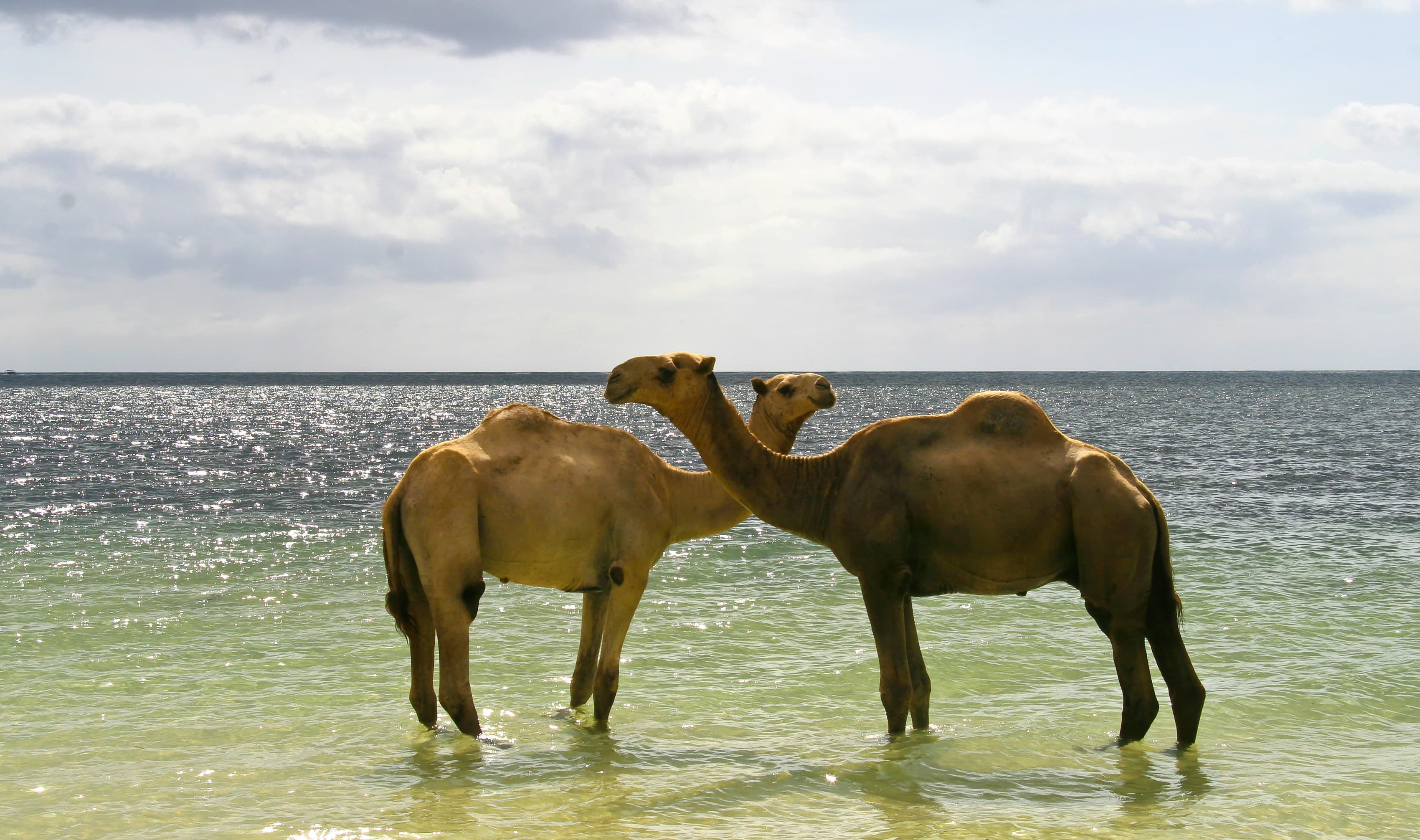 Lake Turkana Desert Expedition